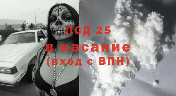 крисы Магас