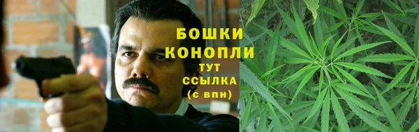 крисы Магас