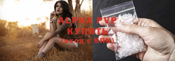 крисы Магас