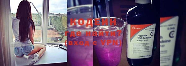 крисы Магас