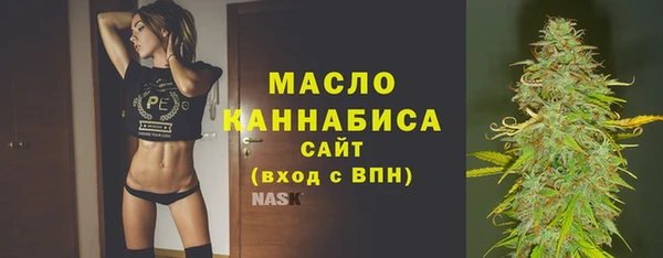 крисы Магас