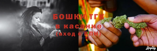 крисы Магас