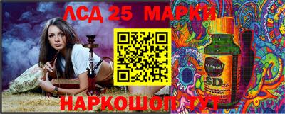 Альфа ПВП Аргун