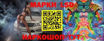 спиды Гатчина