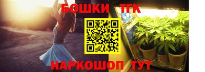 спиды Гатчина