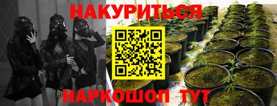 Альфа ПВП Аргун