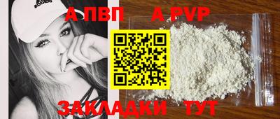 спиды Гатчина