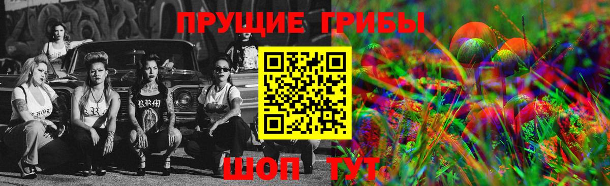 Галлюциногенные грибы Cubensis  Назрань 