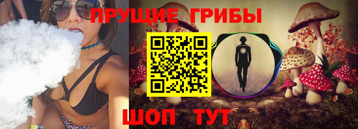 Назрань  цены   Вход с VPN  Галлюциногенные грибы прущие грибы 