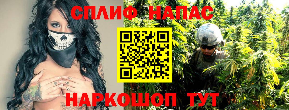 Бошки Шишки Amnesia Назрань